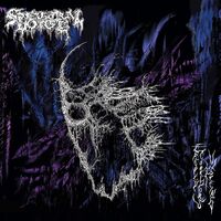 Eroded Corridors Of Unbeing
