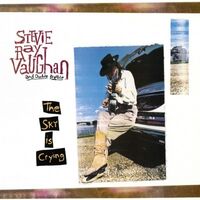 Stevie Vaughan Ray & Double Trouble - Sky Is Crying [180 Gram] (Hol)