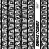 Tsonga Tremors: Explorations In Tradition / Var