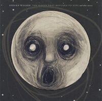 Steven Wilson - Raven That Refused To Sing