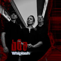 Whiplash (W/Book)