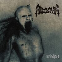 Metachaos