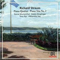 Piano Quartet / Piano Trio 2