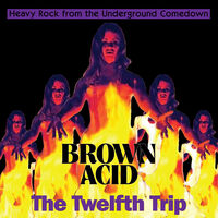 Brown Acid - The Twelfth Trip / Various
