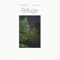 Devendra Banhart & Noah Georgeson - Refuge [Blue Seaglass Wave Translucent LP]