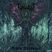 Apex Violator (Uk)