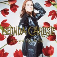 Belinda Carlisle - Live Your Life Be Free: 30th Anniversary (Blk)