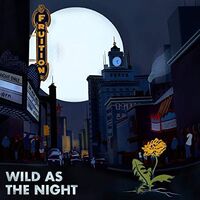 Wild As The Night, Broken At The Break Of Day