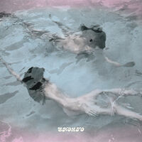 SHOLTO - Sirens