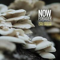 Chris Brokaw - Now Forager (Original Soundtrack)