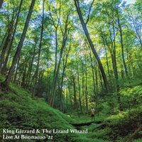 King Gizzard and the Lizard Wizard - Live At Bonnaroo '22 [Orange Buzzsaw LP]