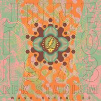 Grateful Dead - RFK Stadium, Washington, DC 6/10/73 [LP]