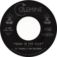 Sunk In The Mist