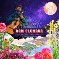 Dom Flemons - Traveling Wildfire [LP]