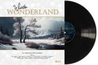 Winter Wonderland / Various (Uk)