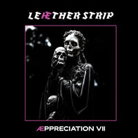 Appreciation Vii
