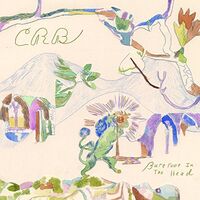 Chris Robinson Brotherhood - Barefoot In The Head [LP]