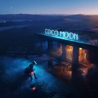 Owl City - Coco Moon [LP]
