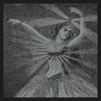 Neutral Milk Hotel - The Collected Works Of Neutral Milk Hotel [LP Box Set]