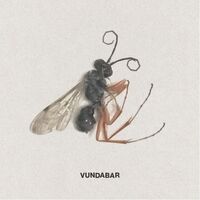 Vundabar - Good Old [Colored Vinyl]