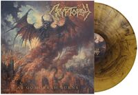 As Gomorrah Burns - Gold & Black Galaxy (Blk)