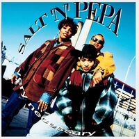 Salt-N-Pepa - Very Necessary: 30th Anniversary [2 LP]