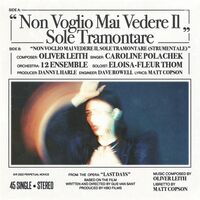 Non Voglio Mai Vedere