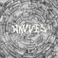 Wavves - Spun