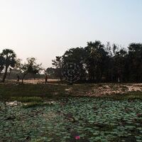 Sarathy Korwar - Kalak [Indie Exclusive Limited Edition Dark Green LP]
