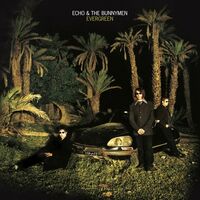 Echo & The Bunnymen - Evergreen (Sted)