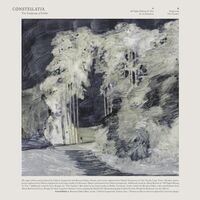 Language Of Limbs