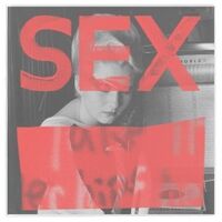 Sex - We Are Not In The Least Afraid Of Ruins / Va - Sex - We Are Not In The Least Afraid Of Ruins / Va