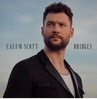 Bridges