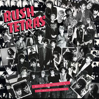 Rhythm & Paranoia: The Best Of Bush Tetras