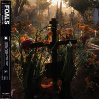 Foals - Everything Not Saved Will Be Lost Part 2 [Indie Exclusive Limited Edition Orange LP]