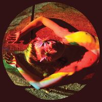 Frankie and the Witch Fingers - Sidewalk [RSD Drops Oct 2020]