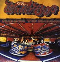 The Waterboys - Room To Roam [Vinyl]