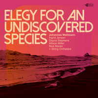 Johannes Wallmann - Elegy for an Undiscovered Species