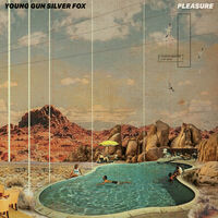YOUNG GUN SILVER FOX 7inch Ned Dohenyカバー YOUNG GUN SILVER FOX 7inch Ned Dohenyカバー