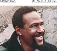 Marvin Gaye - Dream Of A Lifetime