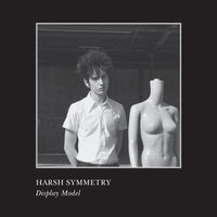Harsh Symmetry - Display Model