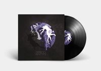 Defecto - Duality