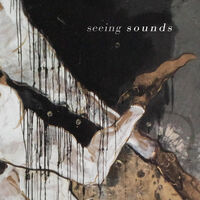 Seeing Sound