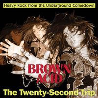 Brown Acid - The Twenty-Second Trip (Various Artists)