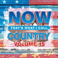 Now That's What I Call Music! - Now That's What I Call Country, Volume 15