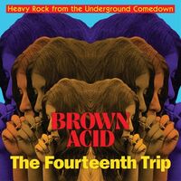 Brown Acid - Fourteenth Trip (Various Artists)