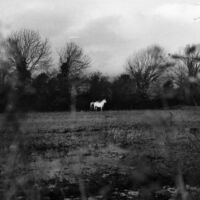 Flatsound - When You Run Away, Do You Close Your Eyes (Blk)