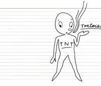 Tnt