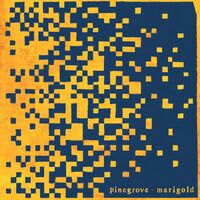 Pinegrove - Marigold [Cassette]