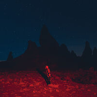 Phoebe Bridgers - Punisher [Indie Exclusive Limited Edition Red & Swirly LP]